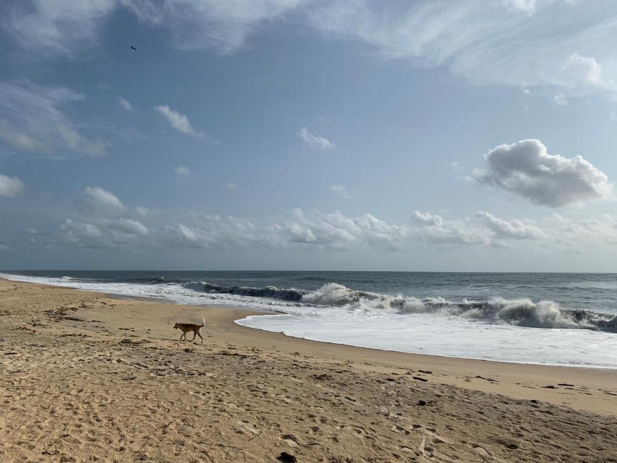 Peacock Villa Marari Beach Mararikulam Buitenkant foto